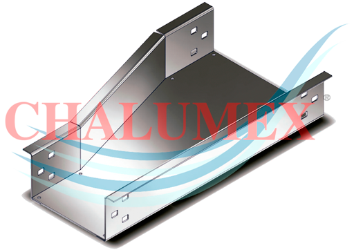 Descripción de la imagen