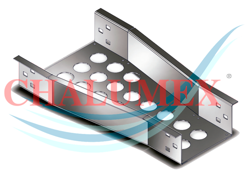 Descripción de la imagen