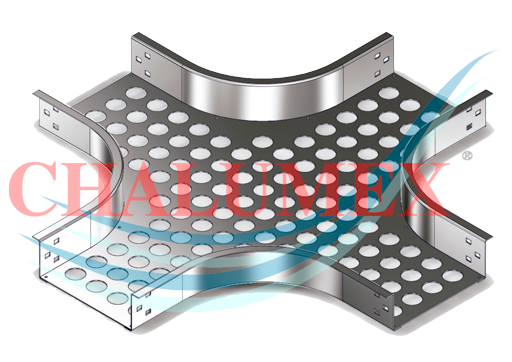 Descripción de la imagen