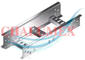 Descripción de la imagen