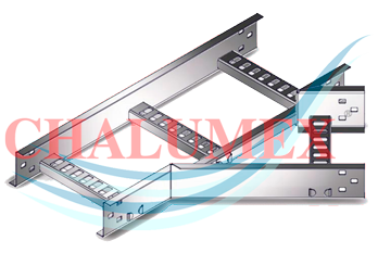 Descripción de la imagen